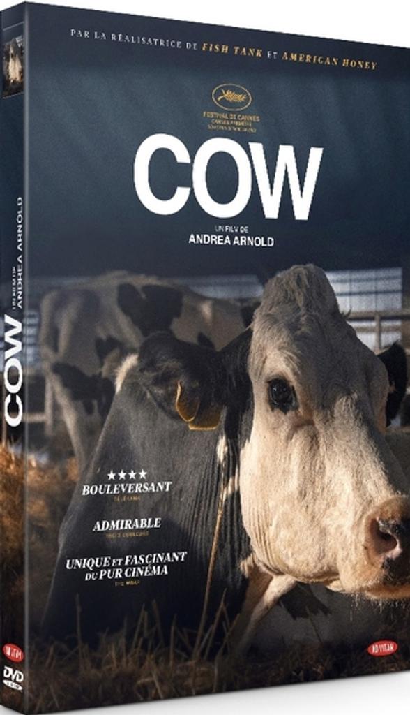 Cow / Andrea Arnold, réal. | 